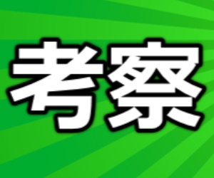 【2020年】アイビスサマーダッシュ－イベリスについて考察