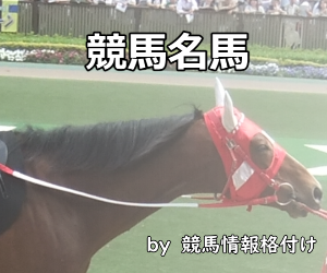 ローブティサージュ｜キーンランドカップ｜歴代の勝ち馬思い出