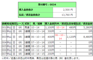 中山競馬場６レース的中馬券