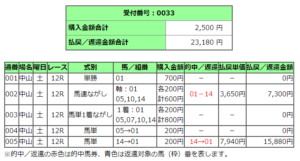 中山競馬場１２レース的中馬券