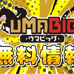 UMABIG｜評価・検証・口コミ