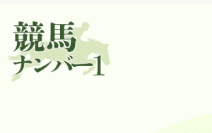 「最新版2025年」競馬ナンバー１｜評価・検証・口コミ